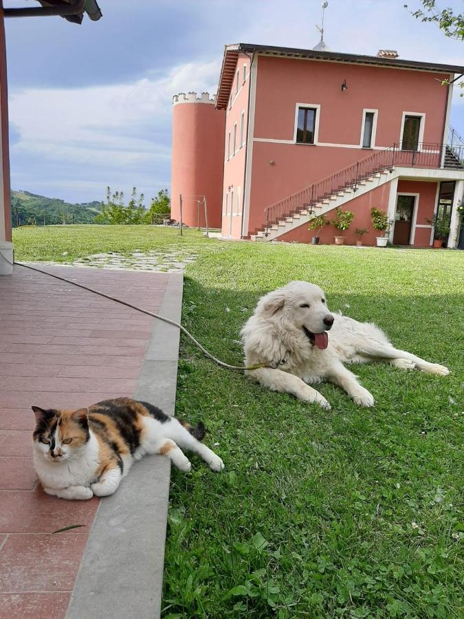 Agriturismo La Vita E Bella Villa Fabriano Exterior foto